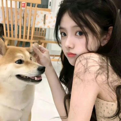 热狗行动免费在线观看